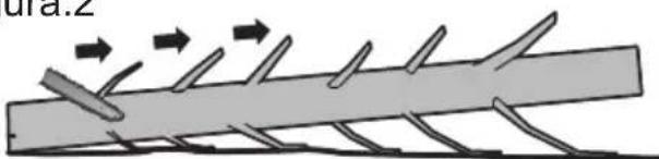 KRESS KG367 - Corte posterior de tala - 2