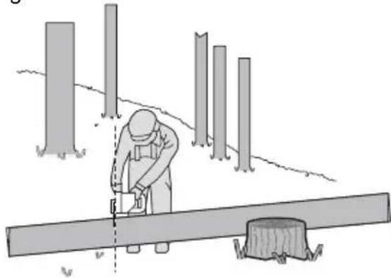 KRESS KG367 - TROZADO DE UN TRONCO - 4