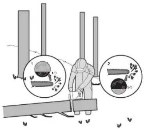 KRESS KG347E.9 - Taglio di tronco d'albero - 2