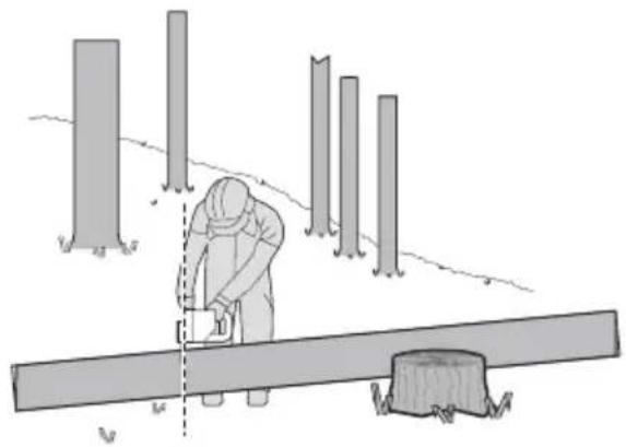 KRESS KG347E.9 - Taglio di tronco d'albero - 4