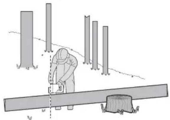 KRESS KG347E.9 - Troceado del tronco - 4