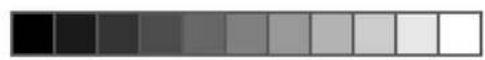PROLINE FP1012WH - Tambour - 3