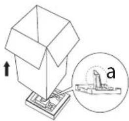 PROLINE FP1012WH - Removing packing - 1