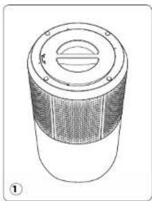 ROWENTA Pure Air City PU2840 - DEMONTAREA/REMONTAREA FILTRELOR - 1