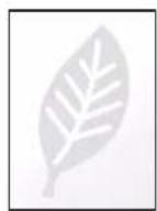 KYOCERA TASKalfa 9002i - EcoPrint - 9