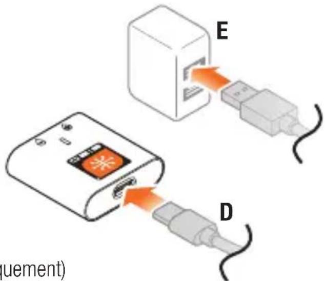 SPEKTRUM S120 - Schéma du chargeur de batterie SMART Spektrum™ - 2