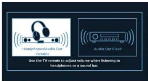 INSIGNIA NS32D310NA21 - Selection du mode de sortie audio - 1