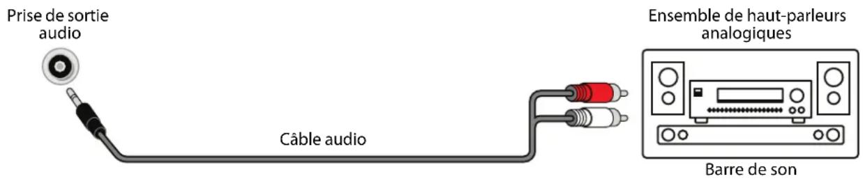 INSIGNIA NS32D310NA21 - Audio analogue - 1