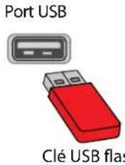 INSIGNIA NS32D310NA21 - Connexion d'une clé USB flash - 1