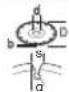 BOSCH GWS 27230 JR Professional - maks. [mm] [mm] [°] - 5