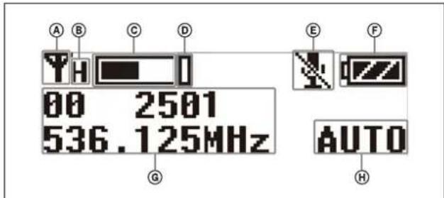 SONY URXP41D - Section d'affichage - 1