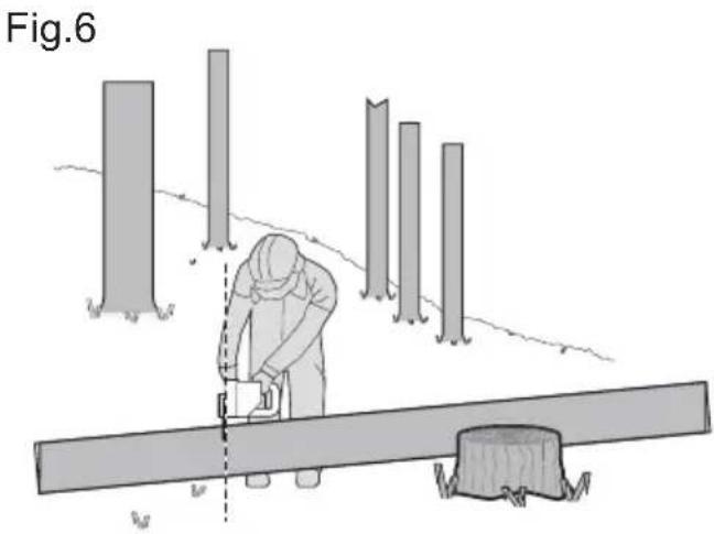 WORX WG384E - Bucking a log - 4