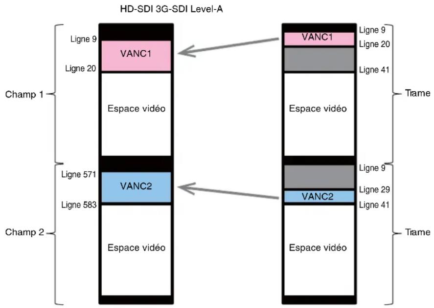 SONY HDRC4000 - Mode champ - 2
