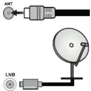 PANASONIC TX40MS490E - Antenneforbindelse - 1