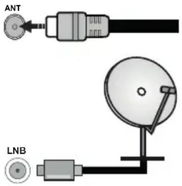 PANASONIC TX40MS490E - Branchement de l'antenne - 1