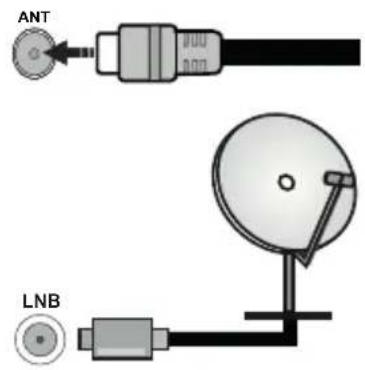 PANASONIC TX40MS490E - Antenna Connection - 1