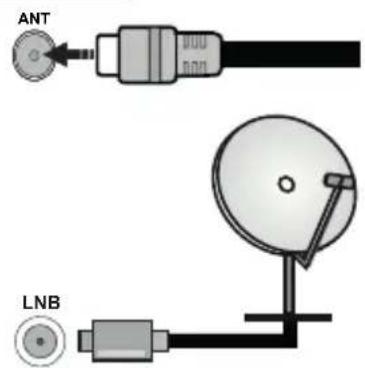 PANASONIC TX40MS490E - Antennetilkobling - 1