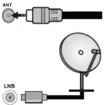 PANASONIC TX40MS490E - Conexiune antenă - 1
