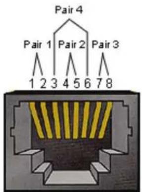 VIEWSONIC 75505 - Spcification du matériel LAN - 1