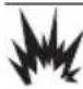 Generac G0065650 - Combustible - 1