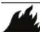 Generac G0065650 - DANGER - 1