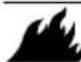 Generac G0065650 - WARNING - 1
