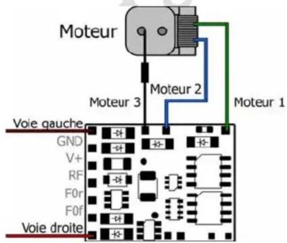 Tams Elektronik LDG42.2 - Connexion d'un moteur à courant continu et de l'alimentation - 1