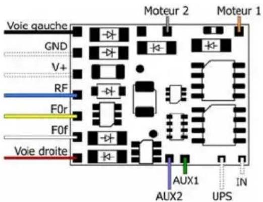 Tams Elektronik LDG42.2 - Connexions ld-g-42.2 - 1