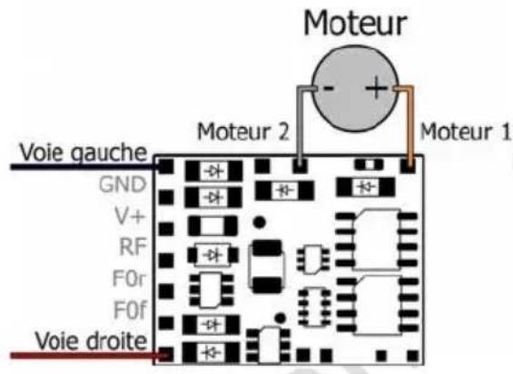 Tams Elektronik LDG42.2 - Connexion du décodeur au moteur - 1