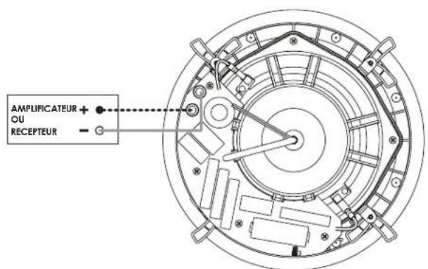 GoldenEar Invisa 850 - Tirez le fil du haut-parleur hors du trou et connectez le haut-parleur comme suit: - 2