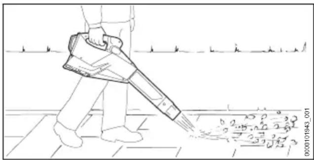 STIHL BGA 250 - Souflage - 1