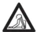STIHL BGA 250 - WARNING - 1