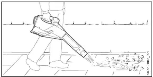 STIHL BGA 250 - Sofiatura - 1