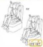 Joie iPivot Grow - Para la instalación con cinturón de 3 puntos de sujeción + Sistema ISOFIX - 3