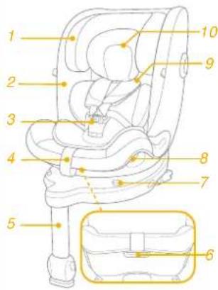 Joie iPivot Grow - Confirme - 2