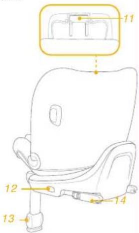 Joie iPivot Grow - Confirme - 3