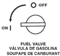 WESTINGHOUSE WGen14500DF - ARRANCAR EL MOTOR: GASOLINA - 1