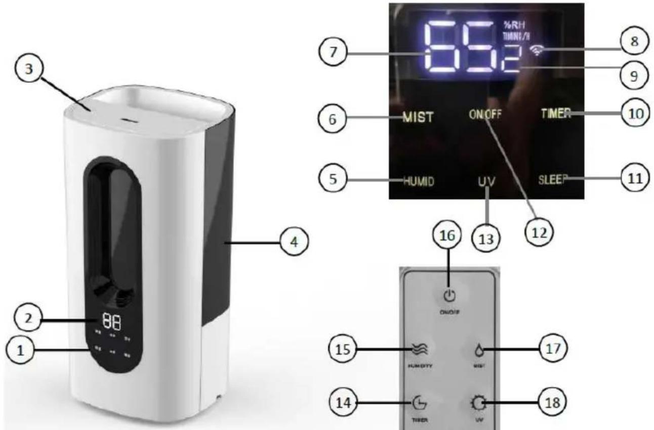 Newgen Medicals LBF330 - Description du produit - 1