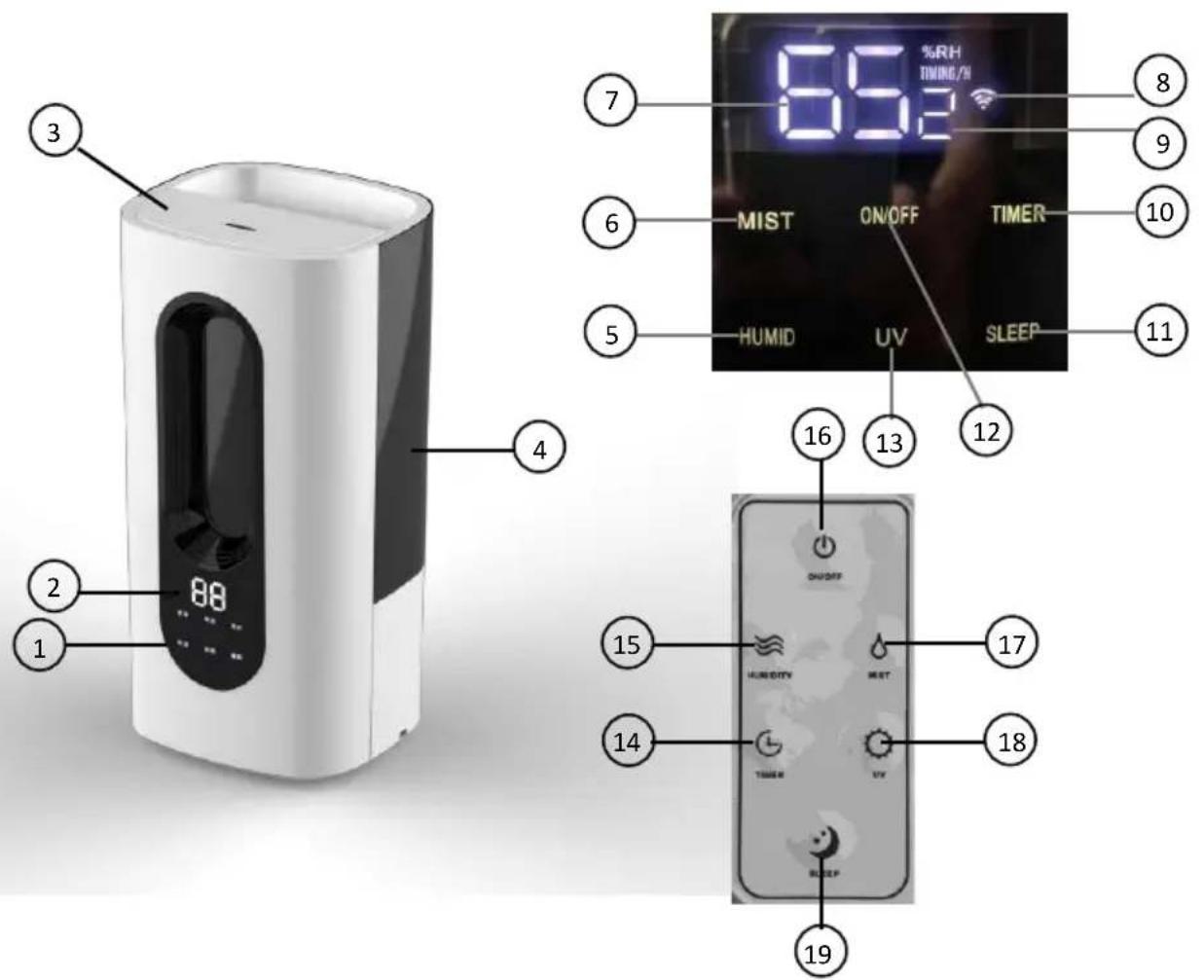 Newgen Medicals LBF330 - Produktdetails - 1