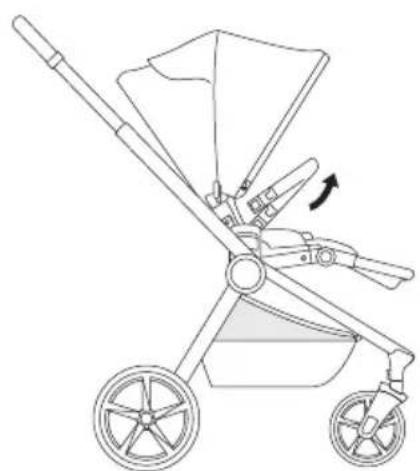 Venicci Claro - 31