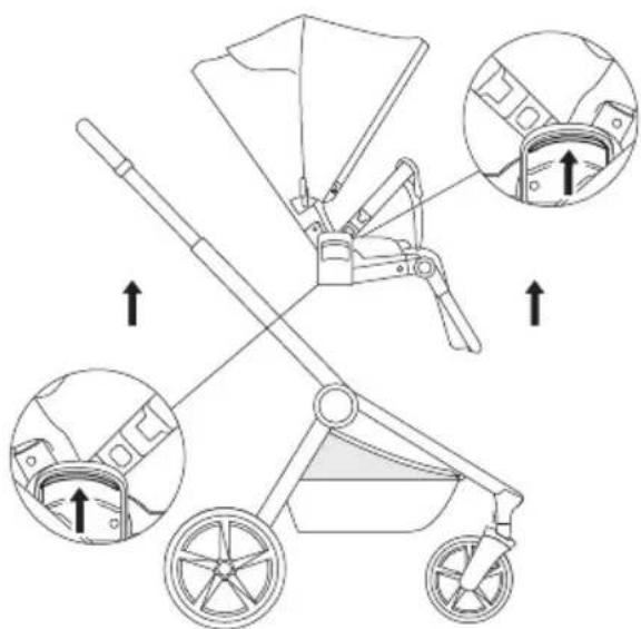 Venicci Claro - 33