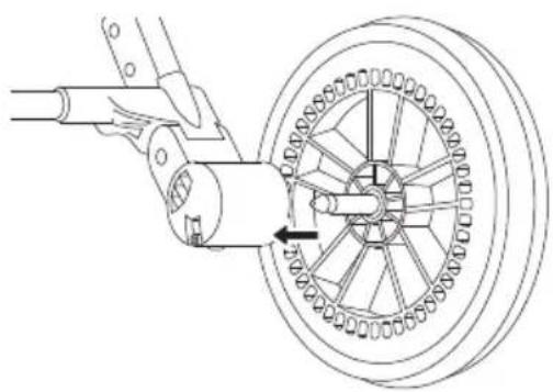 Venicci Claro - 13