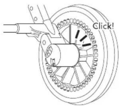 Venicci Claro - 14