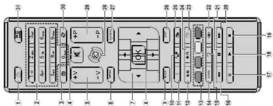 Luxor LFHD40S - HOMI - 3