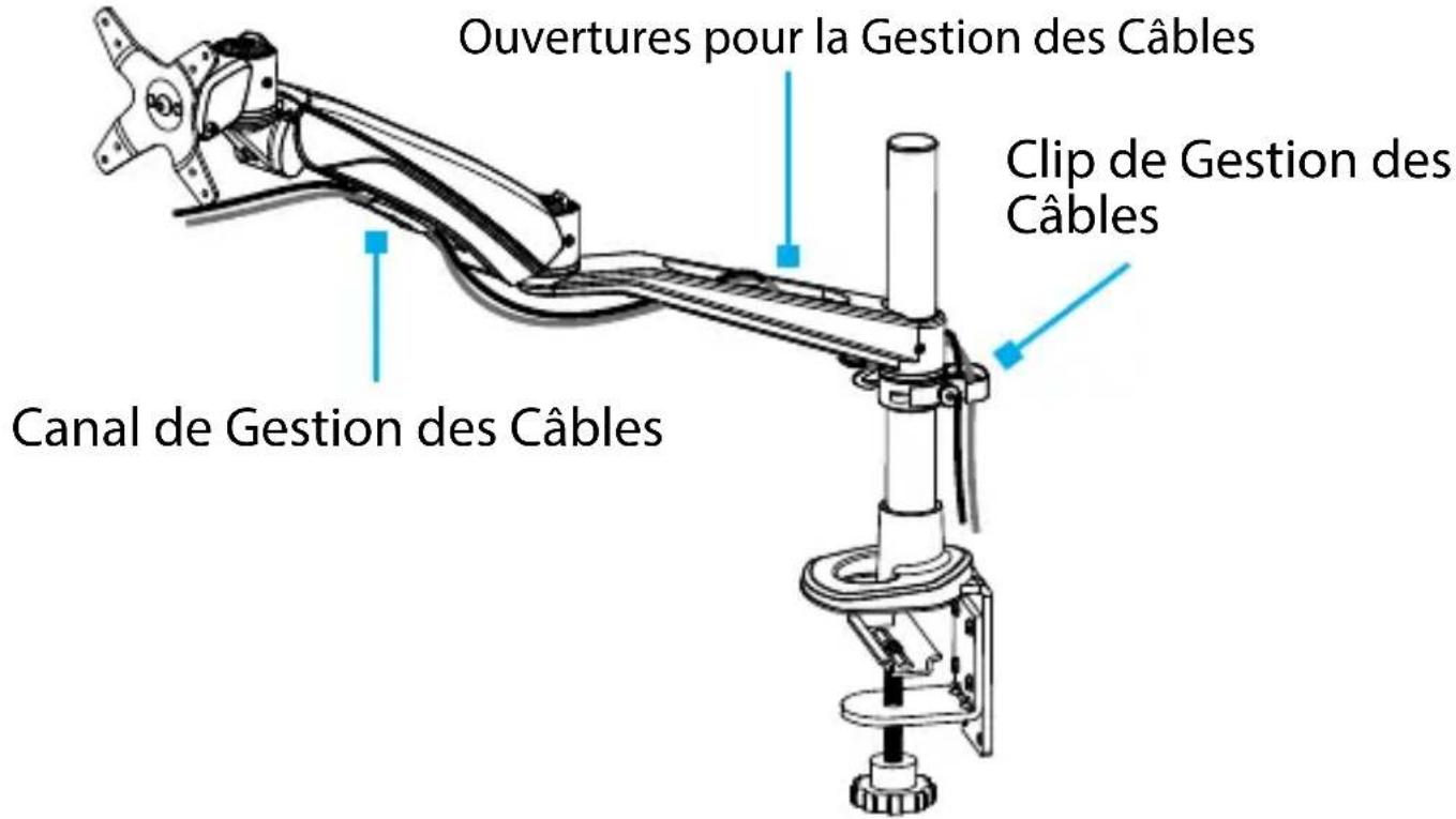 StarTech.com 1MP1ACGMONITORARM - Gestion des Câbles - 1