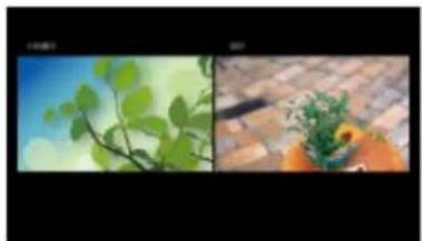 PANASONIC TV55Z95AEG - Multi fenêtres - 1
