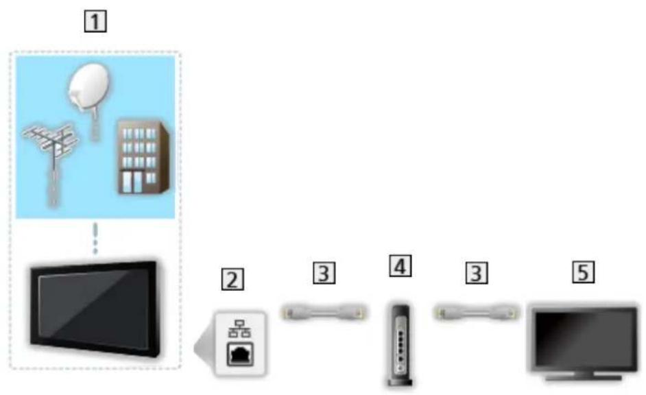 PANASONIC TV55Z95AEG - Raccordement - 1
