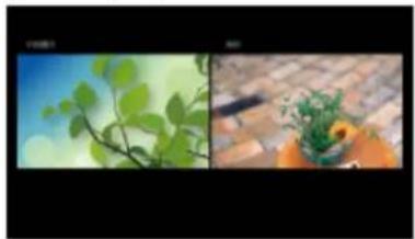 PANASONIC TV55Z95AEG - Multi fenêtres - 1