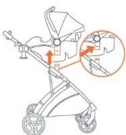 Baby Trend Passport Switch 6in1 - ADVERTENCIA: Evite una lesión grave por caídas o resbalones, siempre use el arnés de la Sillita para el automóvil. - 2