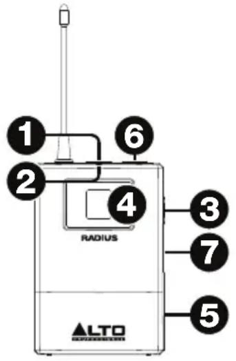 ALTO Radius 200L - Kondensator-Handmikrofonsender (Radius 200) - 2